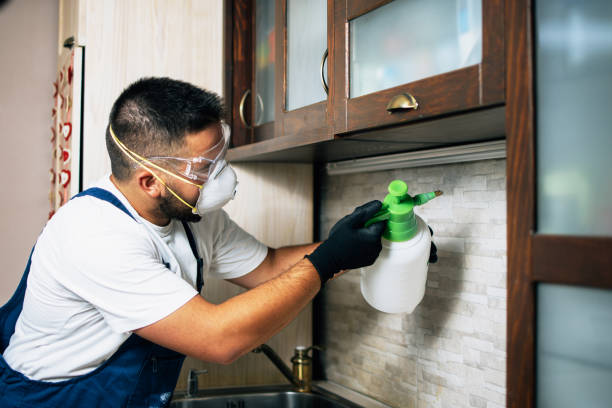 Pest Control for Restaurants in South Kensington, MD