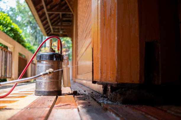 Best Exterminator Services  in South Kensington, MD